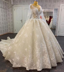 Glamorous Long Sleevess Lace A line Bridal Gown Pirncess Wedding Dress